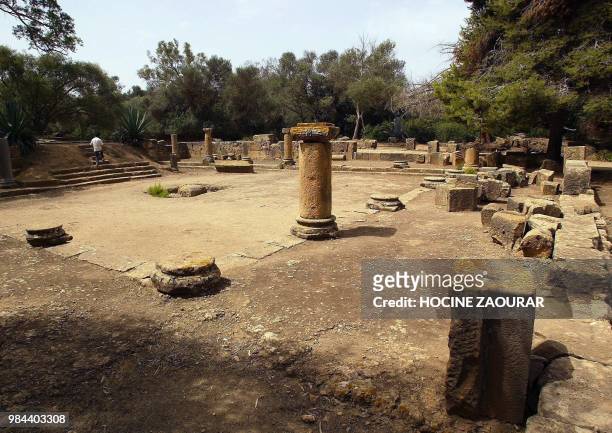 Ruins of a temple are pictured 14 August 2002 at the historic site of Tipasa. On he Shores of the Mediterranean, Tipasa was an ancient Punic...