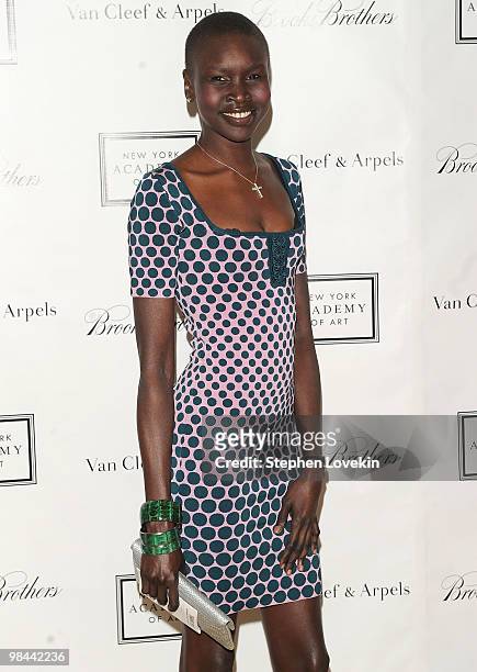 Model Alek Wek walks the red carpet during the 2010 Tribeca Ball at the New York Academy of Art on April 13, 2010 in New York City.