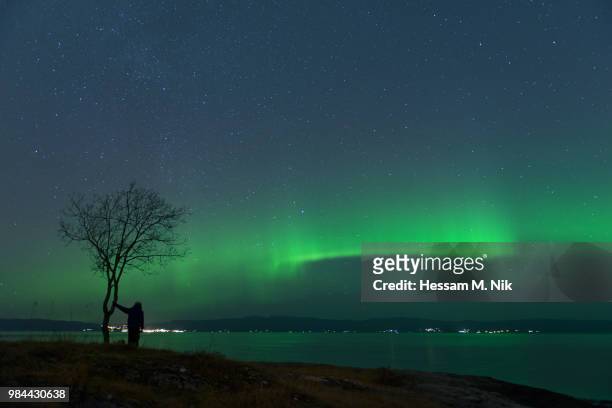 the northern lights in norway. - trøndelag stock pictures, royalty-free photos & images