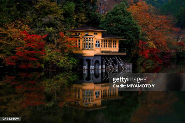 reflections in autumn - miyamoto y stock pictures, royalty-free photos & images