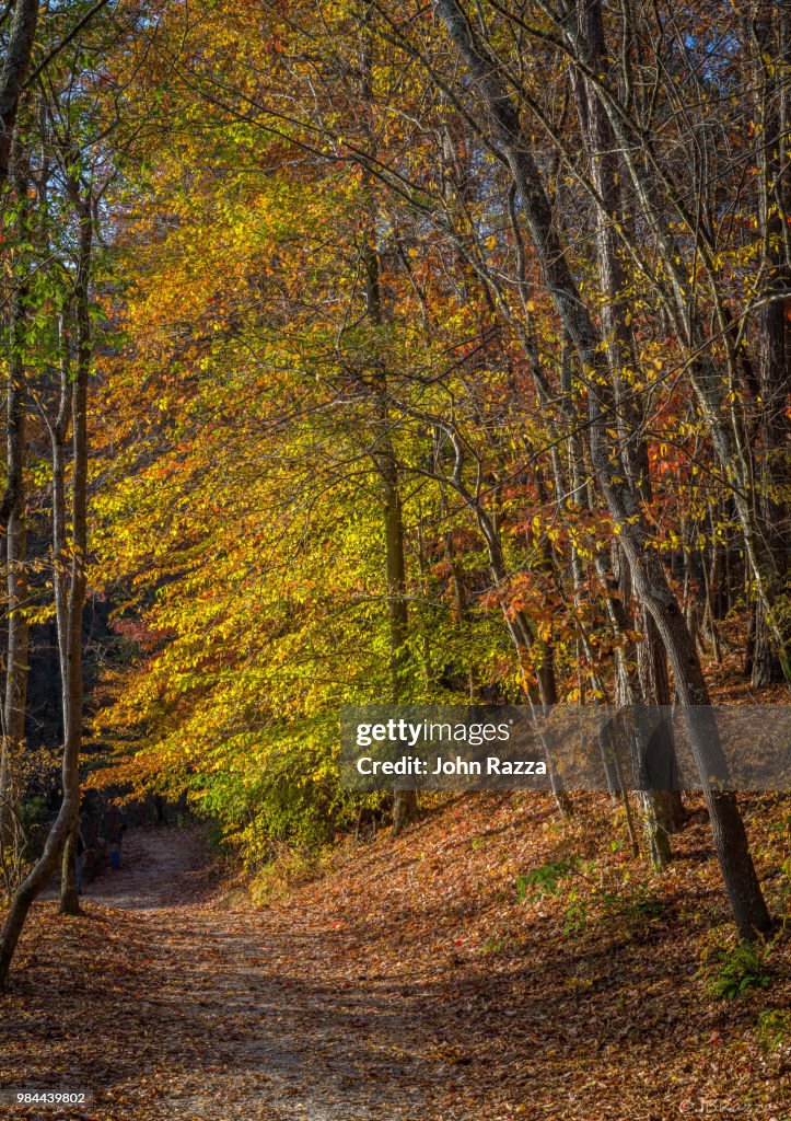 November Morning