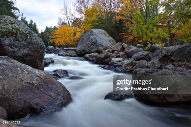 lake placid stream - prabhas stock pictures, royalty-free photos & images