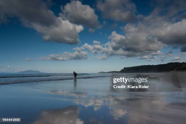 pakiri beach, newzealand - newzealand stock-fotos und bilder