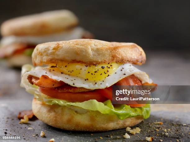 fried egg, blt breakfast sandwiches on english muffins - english muffin stock pictures, royalty-free photos & images