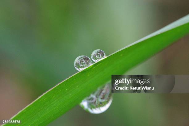 big smile - big smile stockfoto's en -beelden