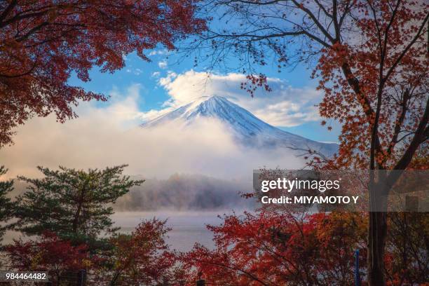 mt.fuji through the autumn window - miyamoto y stock pictures, royalty-free photos & images