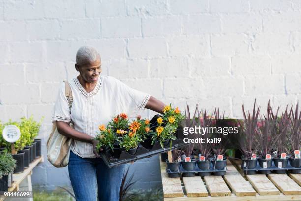 senior afro-amerikaanse vrouw winkelen in tuincentrum - flower shop stockfoto's en -beelden