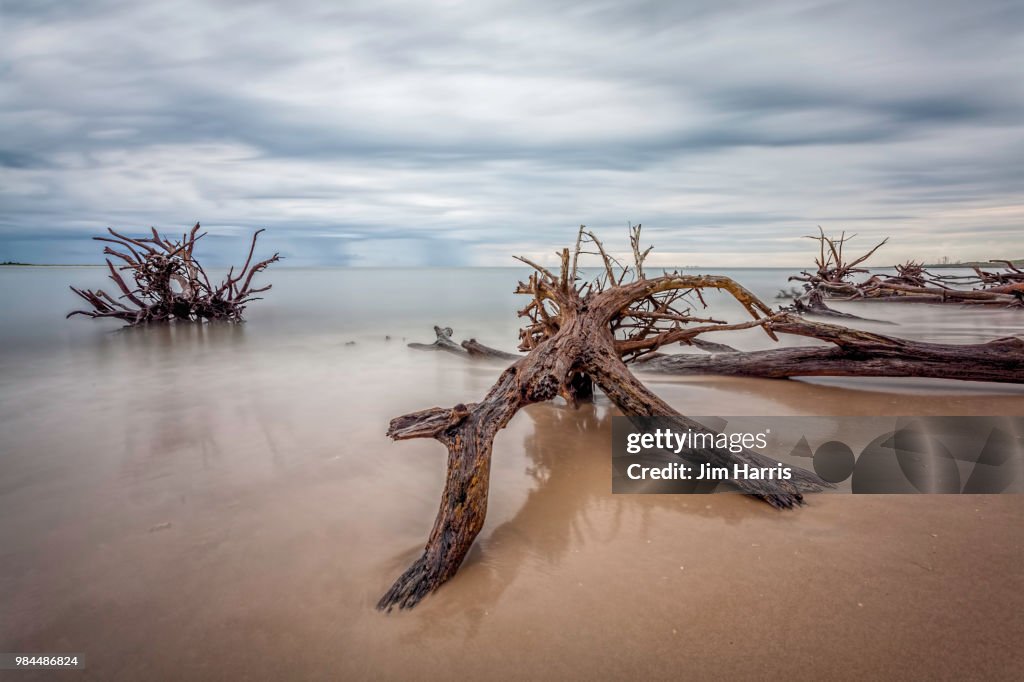 Big Talbot Island
