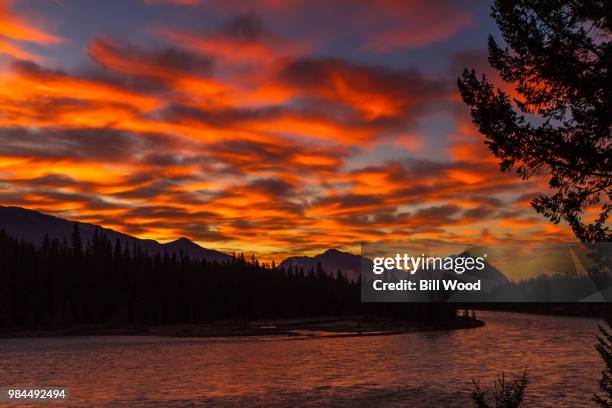 athabasca river sunrise - athabasca river stock pictures, royalty-free photos & images