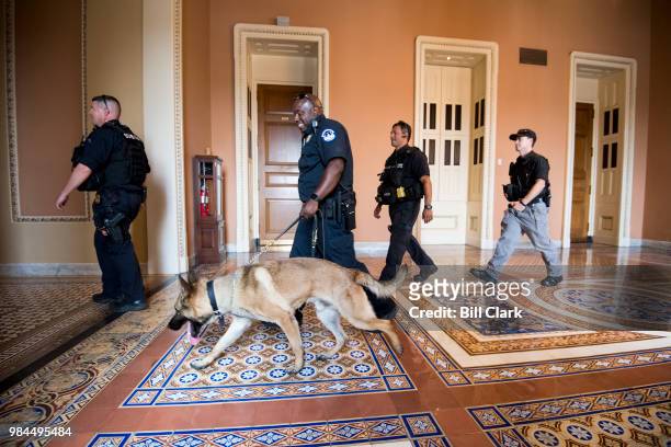 Capitol Police walk through the Capitol after conducting a security sweep in advance of a visit by King Abdullah II Queen Rania of Jordan on Tuesday,...