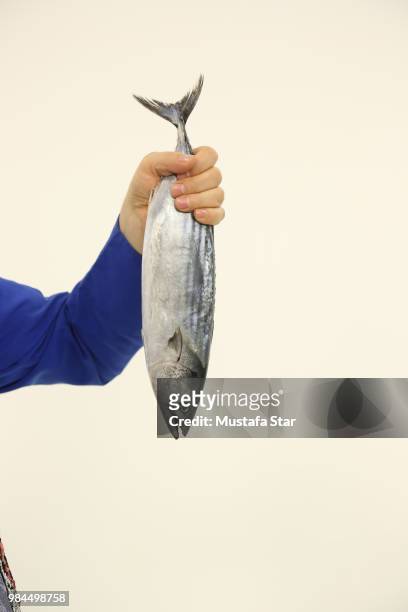 big fish - big fish stock pictures, royalty-free photos & images