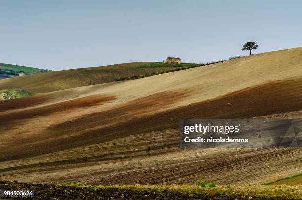 i colori dell'autunno - colori bildbanksfoton och bilder