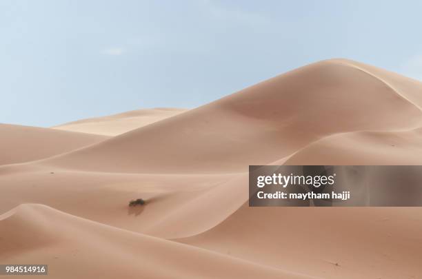 serenity - sand dune stock pictures, royalty-free photos & images