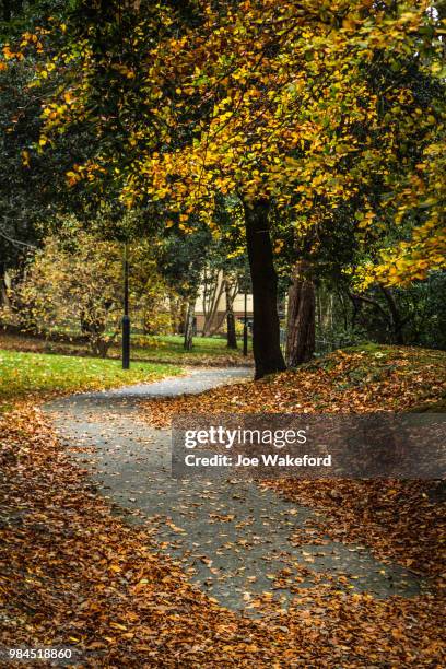 autumn leaves in shanklin old village, isle of wight - isle of wight village stock pictures, royalty-free photos & images