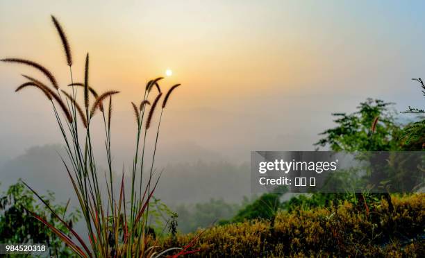 75 Yujing Stock Photos, High-Res Pictures, and Images - Getty Images