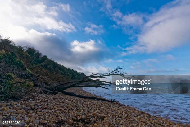 totland bay - totland bay stock pictures, royalty-free photos & images