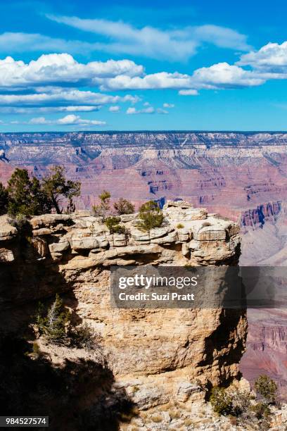 grand canyon - suzi pratt stock pictures, royalty-free photos & images