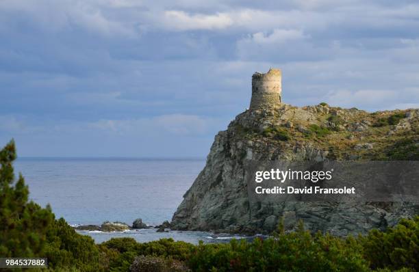 genoese tower - genoese stock pictures, royalty-free photos & images