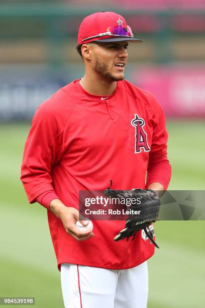 Michael Hermosillo of the Los Angeles Angels looks on before the game against the Tampa Bay Rays at Angel Stadium on May 19, 2018 in Anaheim,...