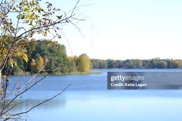 fall - lagen foto e immagini stock