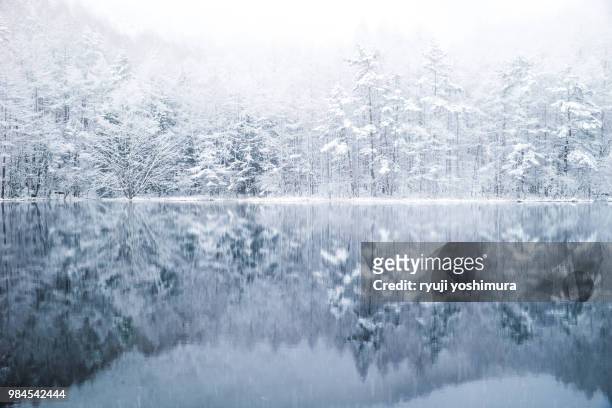 white sound - japan snow stockfoto's en -beelden