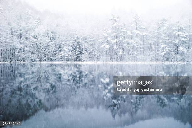 white sound - frozen lake stock pictures, royalty-free photos & images