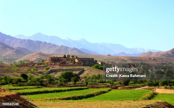 Shakar Rasmi Shakar Fotografías e imágenes de stock - Getty Images