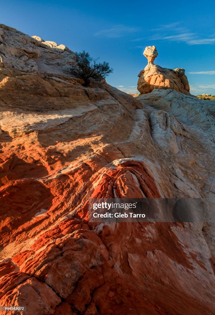 White Pocket, Arizona