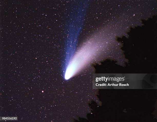 comet hale-bopp - cometa imagens e fotografias de stock