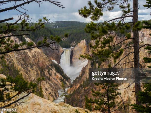 grand canyon of the yellowstone 0314 - cataratas lower falls fotografías e imágenes de stock