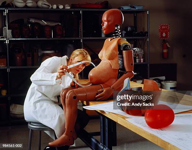 technician measuring stomach of pregnant crash test dummy - crash test dummies stock pictures, royalty-free photos & images