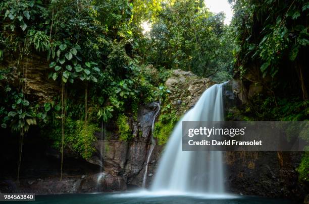 lezarde - guadeloupe stockfoto's en -beelden