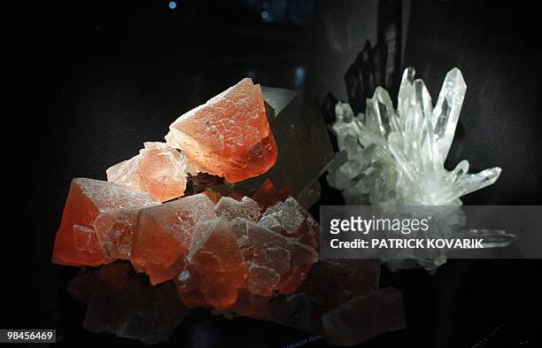 Picture taken on April 9, 2010 displays red fluorite crystals shown at the Natural history Museum in Paris. The fluorite, discovered in French Alps...