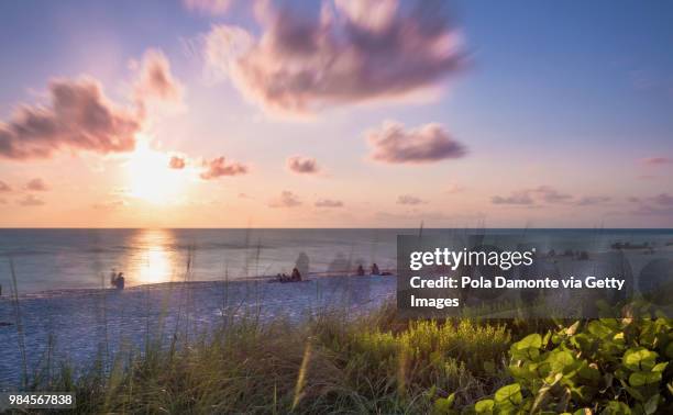 miami south beach at dusk ocean drive, florida, usa - pola damonte stockfoto's en -beelden