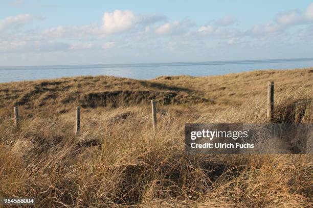 den helder,netherlands - den helder stock pictures, royalty-free photos & images