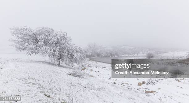 road to pirkuli azerbaijan - azerbaijan winter stock pictures, royalty-free photos & images