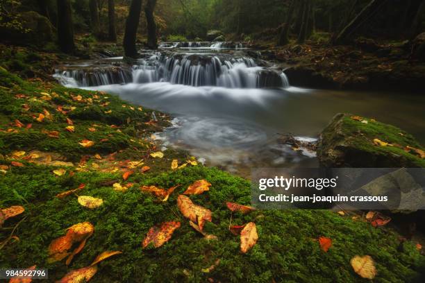 Spiro Waterfall 60 Spiral Waterfall Stock Photos, High-Res Pictures, and Images - Getty ...