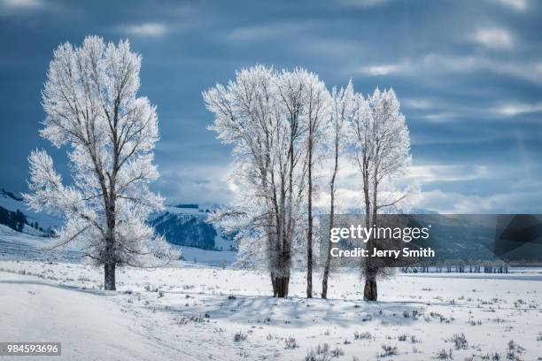let there be light! - lamar valley stock pictures, royalty-free photos & images