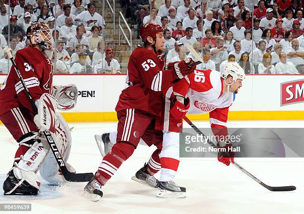 Derek Morris of the Phoenix Coyotes and Tomas Holmstrom of the Detroit Red Wings fight for position in front of Ilya Bryzgalov of the Phoenix Coyotes...