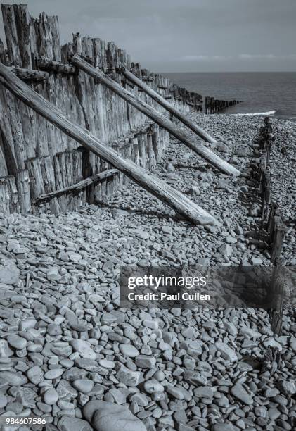 porlock weir groynes 001. - porlock stock-fotos und bilder