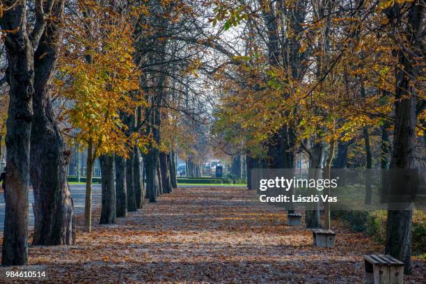 eger,hungary - eger hungary stock pictures, royalty-free photos & images