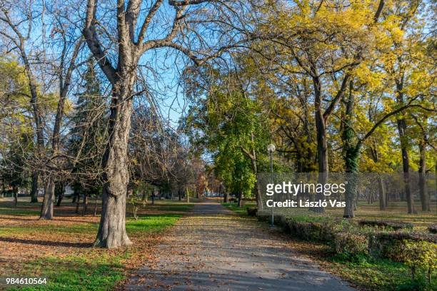 eger,hungary - eger hungary stock pictures, royalty-free photos & images
