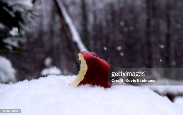 bitten apple in snow - schneewittchen stock-fotos und bilder