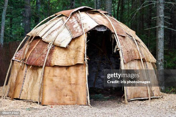 birch bark wigwam - wigwam stock pictures, royalty-free photos & images