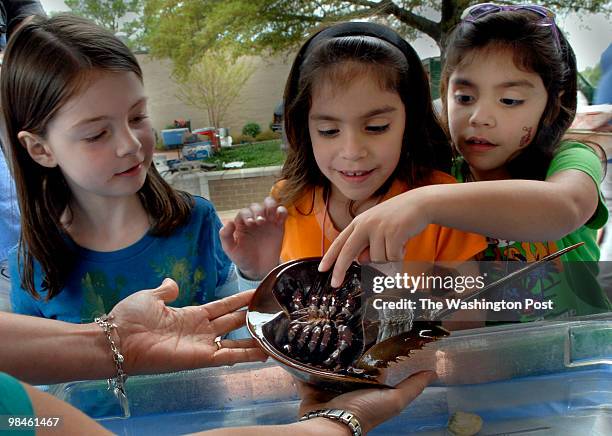 April 28, 2007 Slug: FX-stand3 assignment no: 190354 Photographer: Gerald Martineau Location: N.VA. Community College Annandale, VA Summary:...