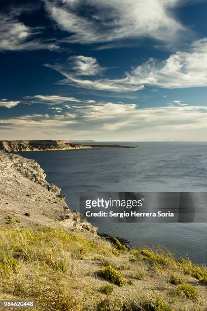the coast of puerto piramides  in argentina. - chubut province stock pictures, royalty-free photos & images