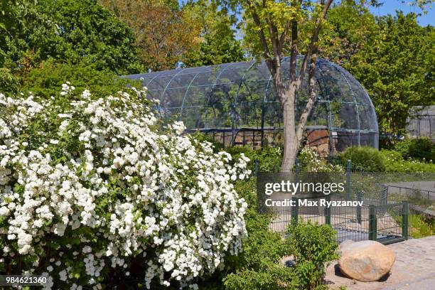 berlin zoo - botanischer garten berlin stock-fotos und bilder
