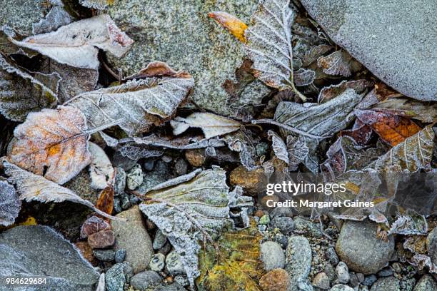 Rosted Rocks 1,206 Margaret Rock Stock Photos, High-Res Pictures, and Images - Getty ...