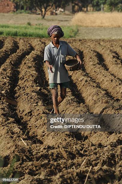 An Indian farmer works in his farmland at Akbarpur village, some 100 kms from Indian city of Allahabad, on April 14, 2010. Farmers are facing water...