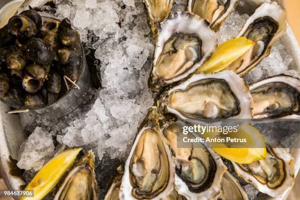 fresh oysters on ice with lemon - afrodisíaco fotografías e imágenes de stock
